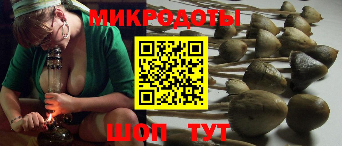 Галлюциногенные грибы MAGIC MUSHROOMS Кисловодск